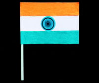 Art-Craft-Indian-Flag
