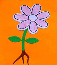 Art-Craft-Parts-Of-A-Flower